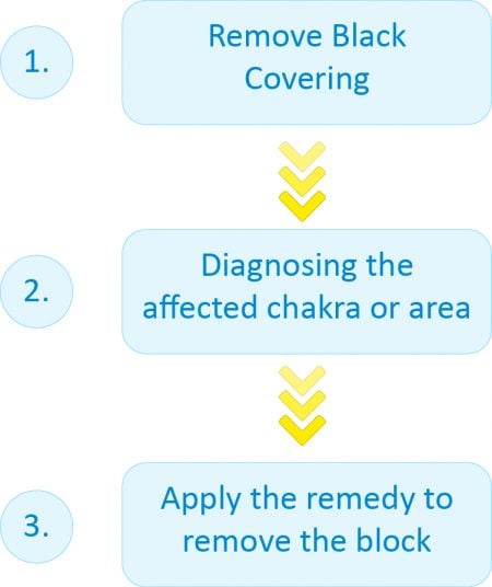 Overview of the Pran Shakti Healing Remedy