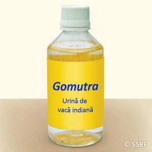 Urină de vacă indiană