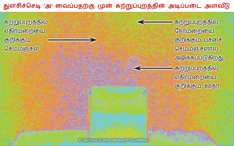 துளசிச்செடி 'அ' வைப்பதற்கு முன் சுற்றுப்புறத்தின் அடிப்படை அளவீடு