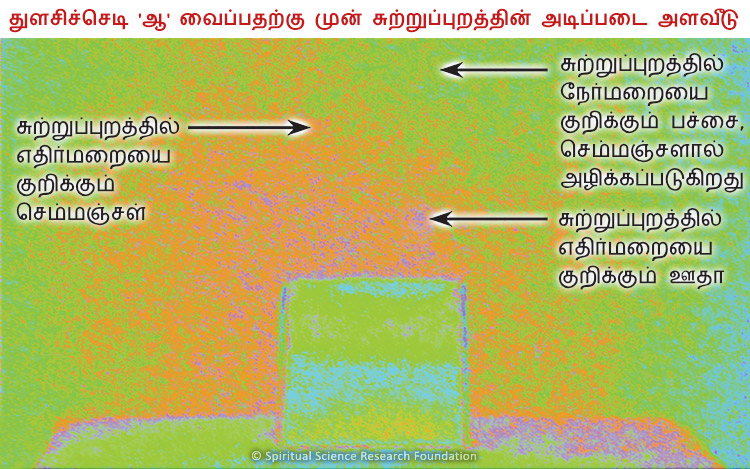 துளசிச்செடி 'ஆ' வைப்பதற்கு முன் சுற்றுப்புறத்தின் அடிப்படை அளவீடு