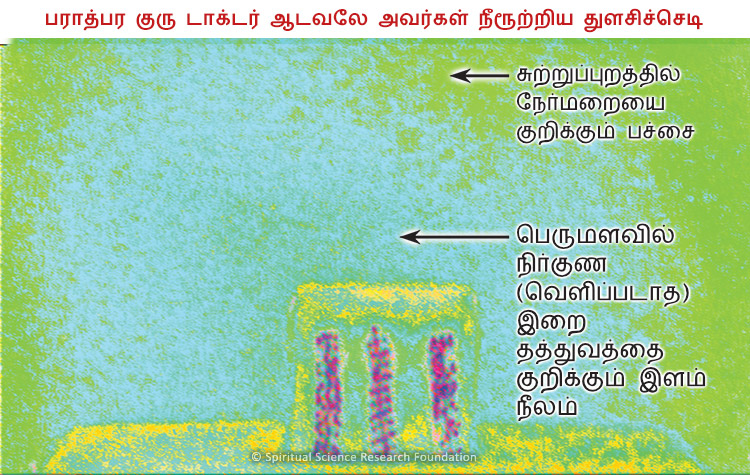 பராத்பர குரு டாக்டர் ஆடவலே அவர்கள் நீரூற்றிய துளசிச்செடி