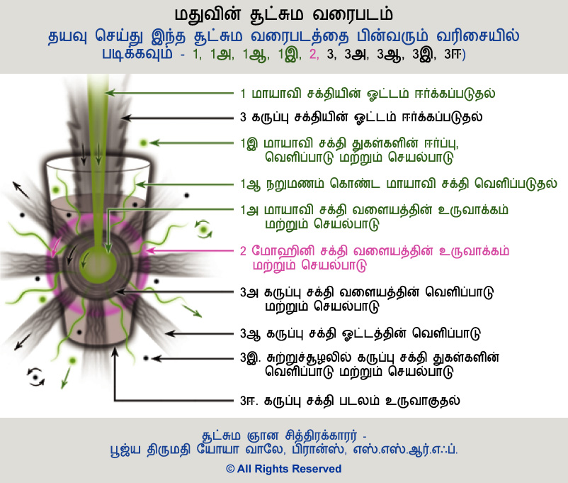 மதுவின் சூட்சும வரைபடம்
