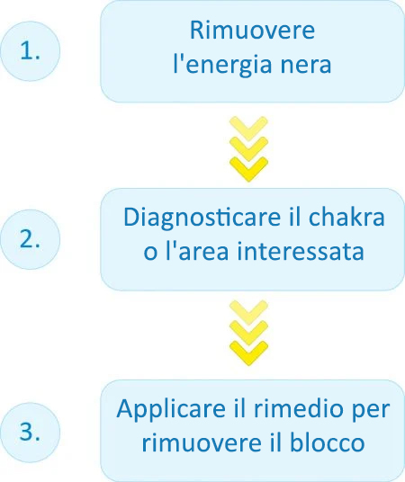 Una rapida panoramica del rimedio curativo Pran Shakti