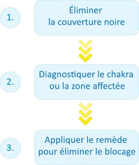 Un bref aperçu du remède de guérison Pran Shakti