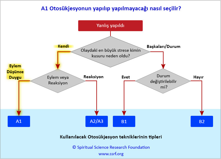 A1 Otosükjesyonun yapılıp yapılmayacağı nasıl seçilir?