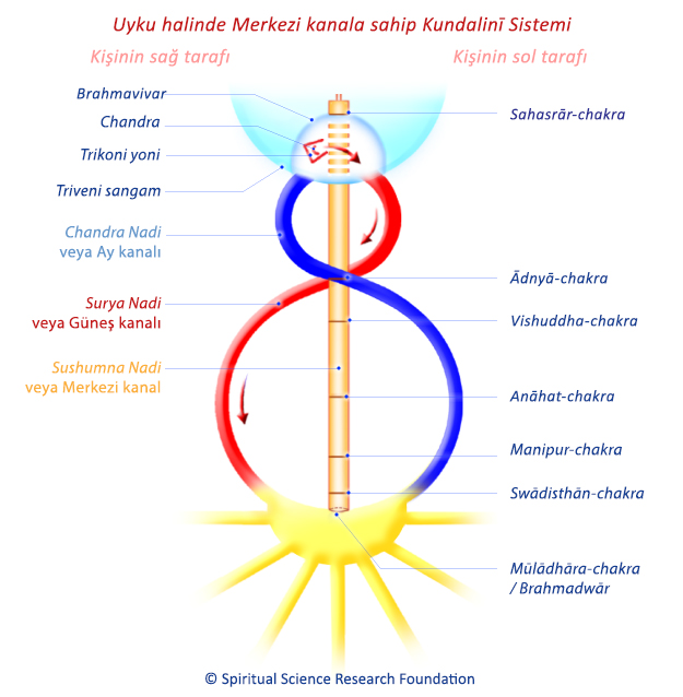 Uyku halinde Merkezi kanala sahip Kundalinī Sistemi