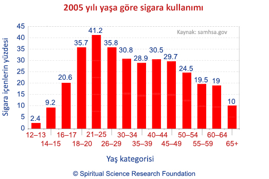 2005 yılı yaşa göre sigara kullanımı
