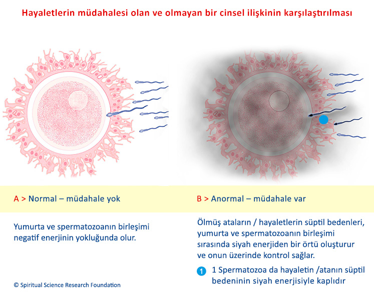 Hayaletlerin müdahalesi olan ve olmayan bir cinsel ilişkinin karşılaştırılması