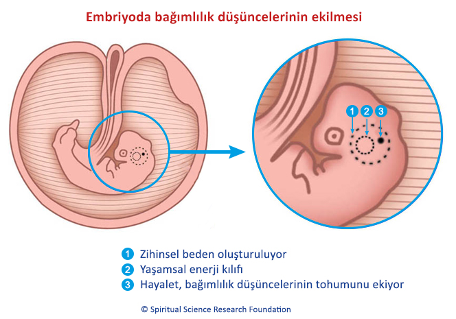 Embriyoda bağımlılık düşüncelerinin ekilmesi