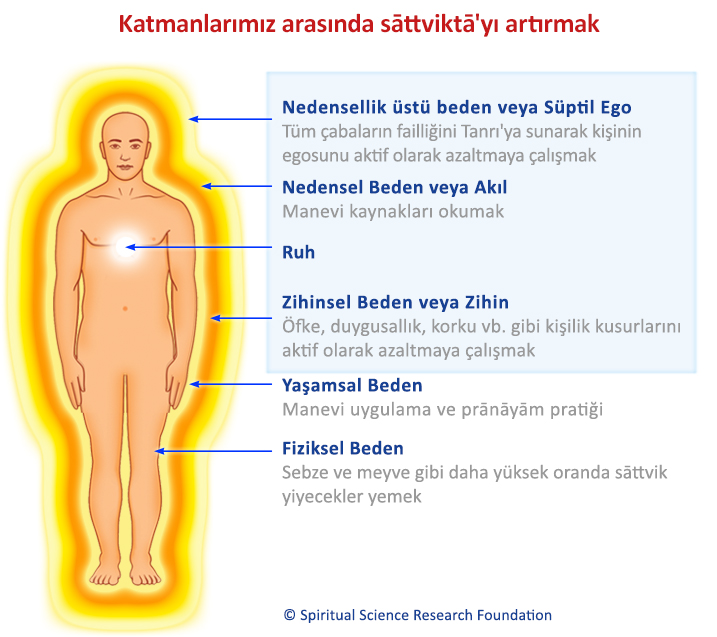 Katmanlarımız arasında sāttviktā'yı artırmak