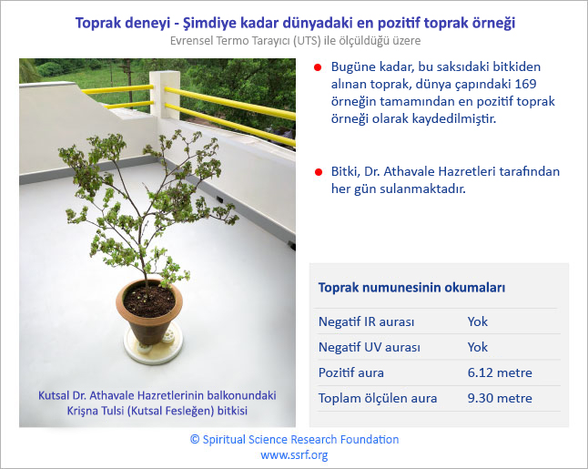 Toprak deneyi - Şimdiye kadar dünyadaki en pozitif toprak örneği