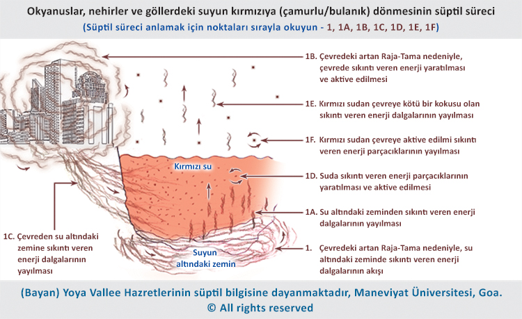 Okyanuslar, nehirler ve göllerdeki suyun kırmızıya (çamurlu/bulanık) dönmesinin süptil süreci 