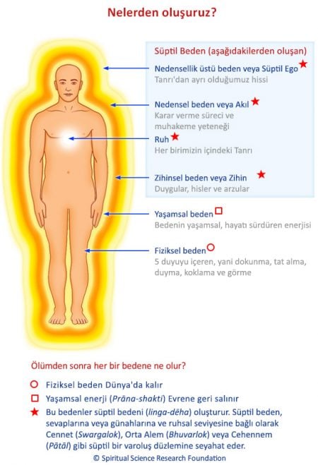 Nelerden oluşuruz?