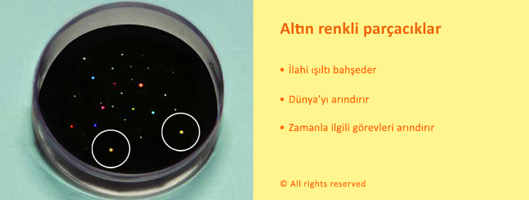 FSS-TUR-divine-particles-2