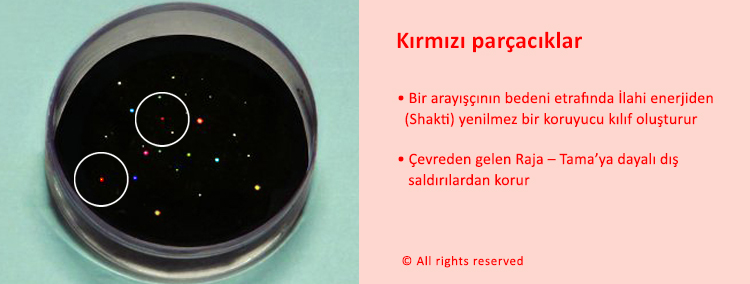 FSS-TUR-divine-particles-5