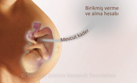 Doğumdan Önceki Yaşam – Ana Rahmindeki Süre