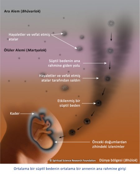 Doğumdan Önceki Yaşam – Ana Rahmindeki Süre