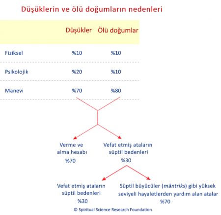 Doğumdan Önceki Yaşam – Ana Rahmindeki Süre