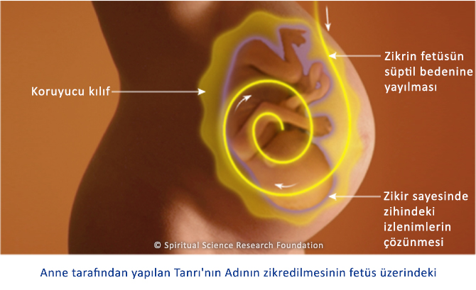 Doğumdan Önceki Yaşam – Ana Rahmindeki Süre