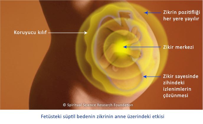 Doğumdan Önceki Yaşam – Ana Rahmindeki Süre