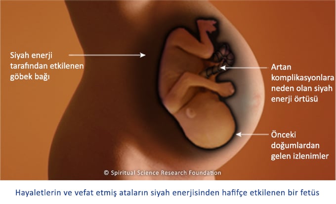 Doğumdan Önceki Yaşam – Ana Rahmindeki Süre