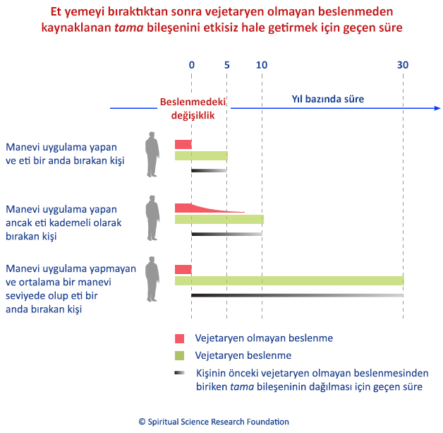 Et yemeyi bıraktıktan sonra vejetaryen olmayan beslenmeden kaynaklanan tama bileşenini etkisiz hale getirmek için geçen süre