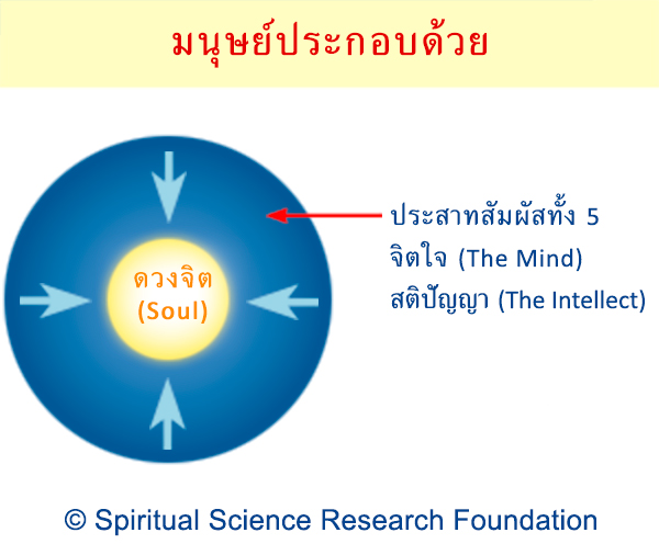 มนุษย์ประกอบด้วย ประสาทสัมผัสทั้ง 5
