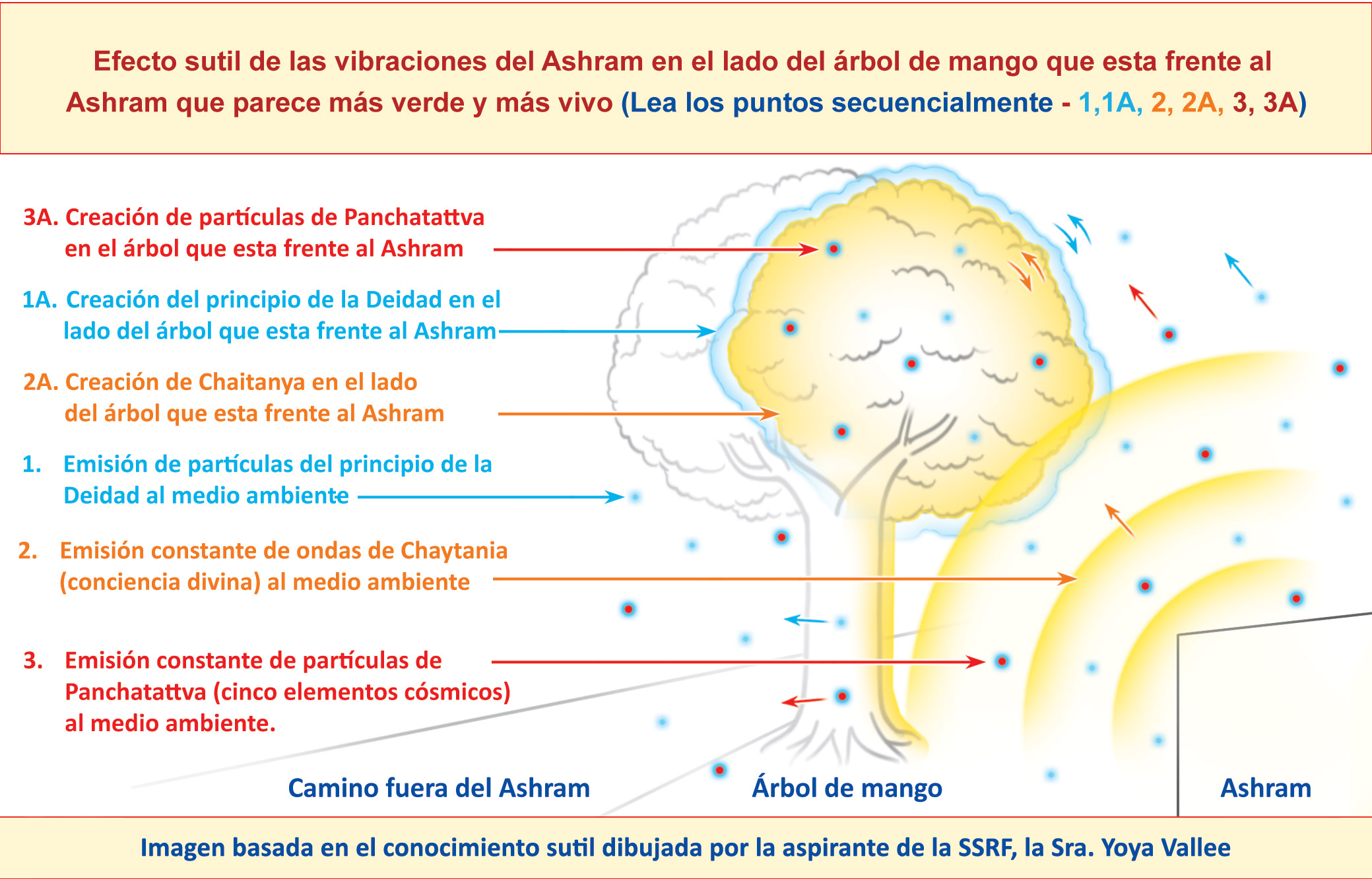 Efecto sutil de las vibraciones del Ashram en el lado del árbol de mango que esta frente al Ashram que parece más verde y más vivo