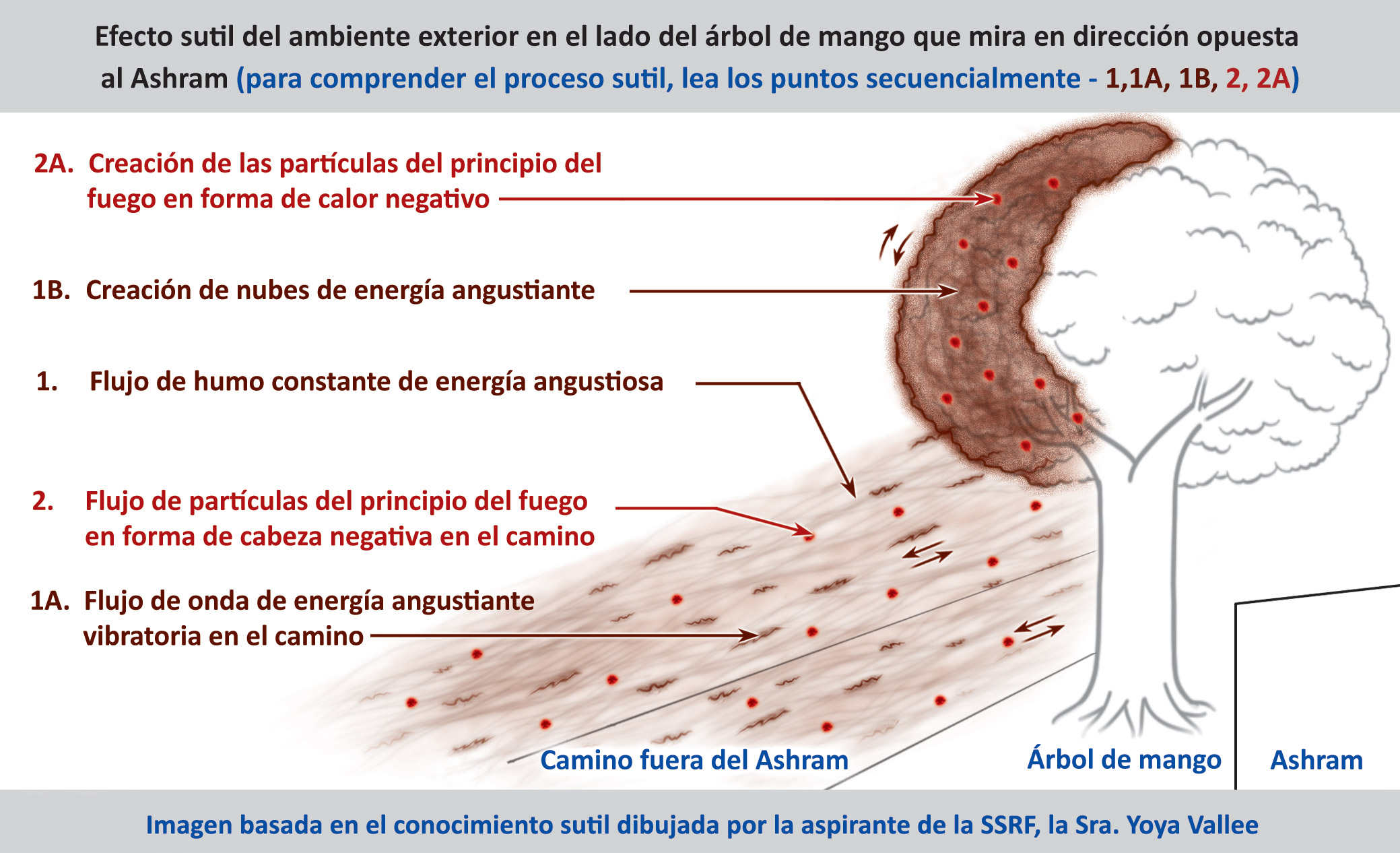 Efecto sutil del ambiente exterior en el lado del árbol de mango que mira en dirección opuesta al Ashram