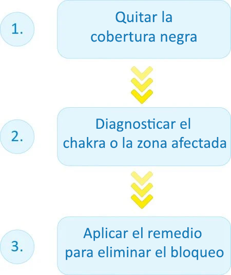 Una rápida descripción del remedio de sanación de Pran Shakti