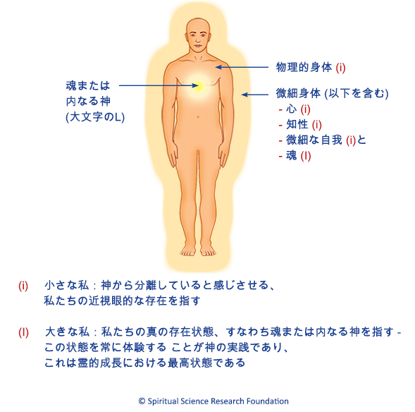  魂または