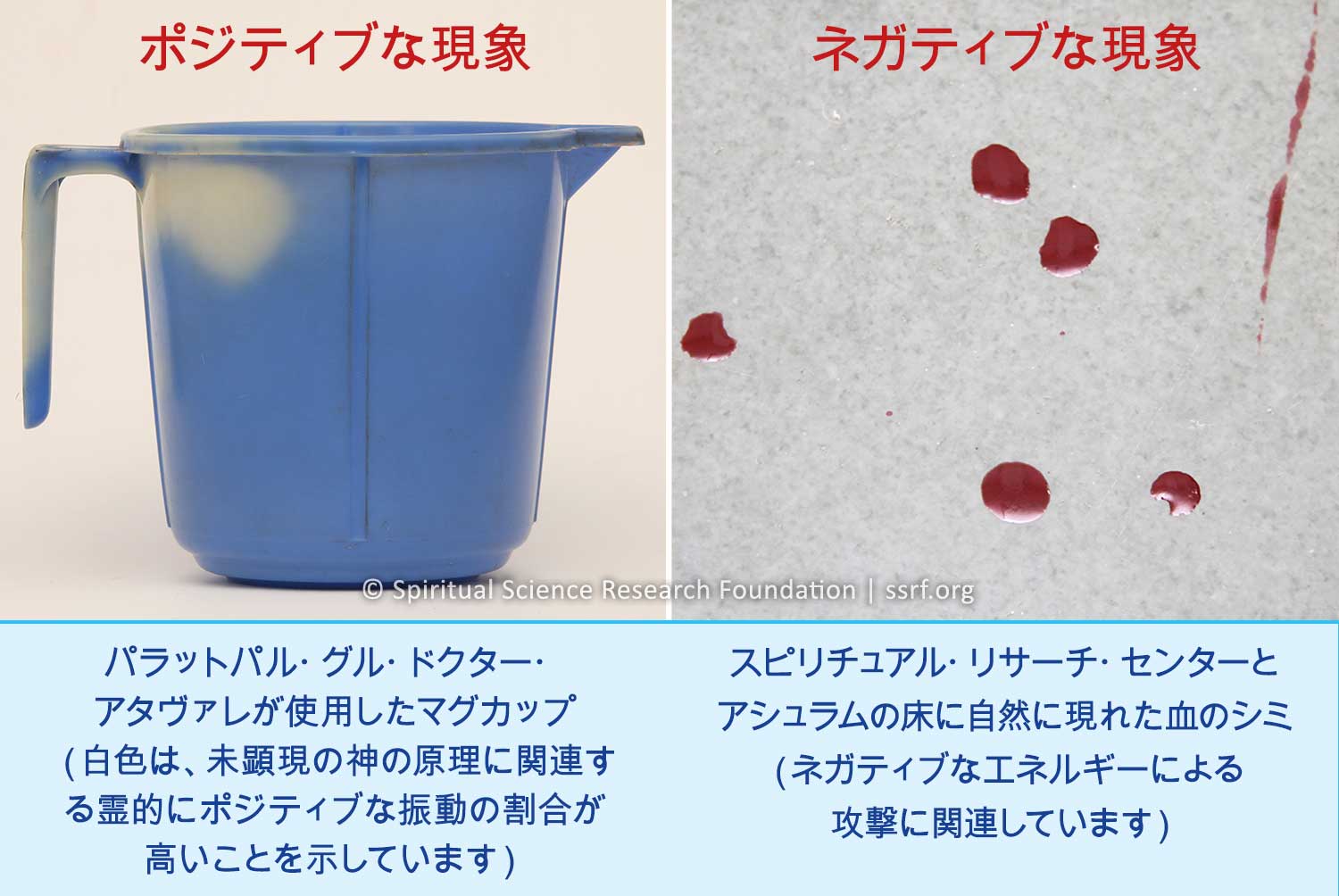  ポジティブな現象 - ネガティブな現象