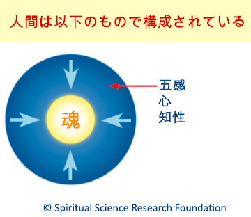 人間は以下のもので構成されている五感 心 知性 魂 