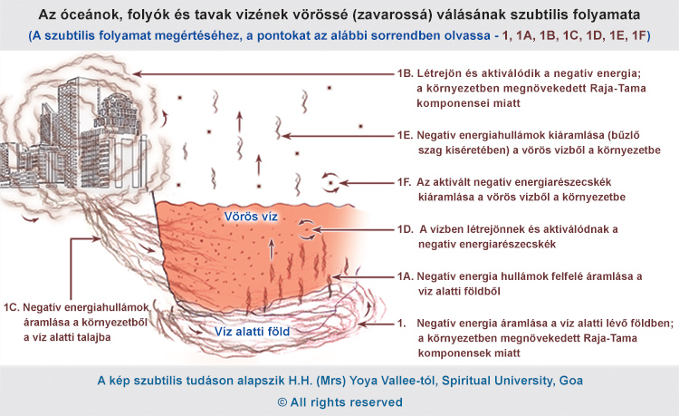 Az óceánok, folyók és tavak vizének vörössé (zavarossá) válásának szubtilis folyamata