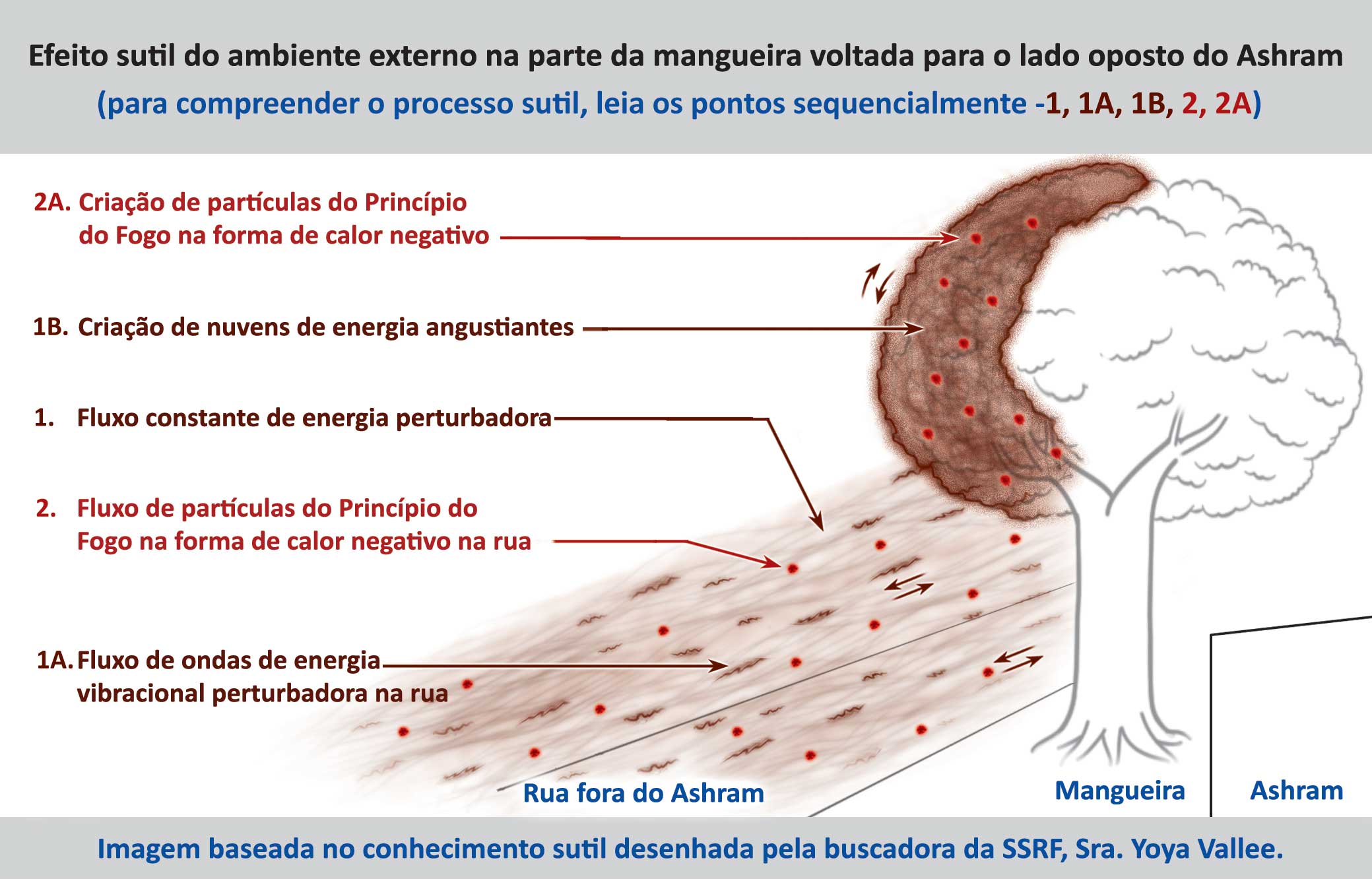 Efeito sutil do ambiente externo na parte da mangueira voltada para o lado oposto do Ashram