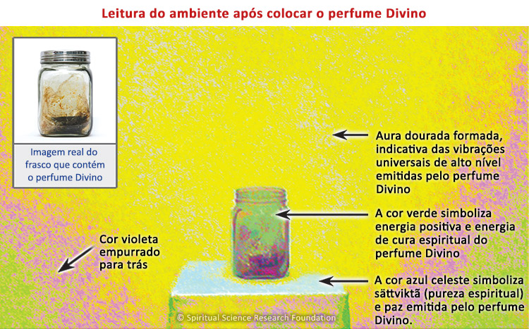 Leitura do ambiente após colocar o perfume Divino