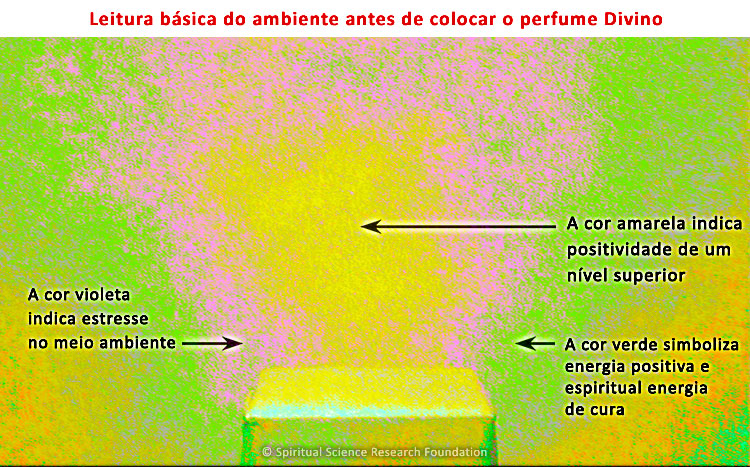  Leitura básica do ambiente antes de colocar o perfume Divino